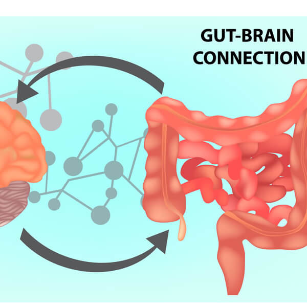 ¿Qué es el eje intestino-cerebro?